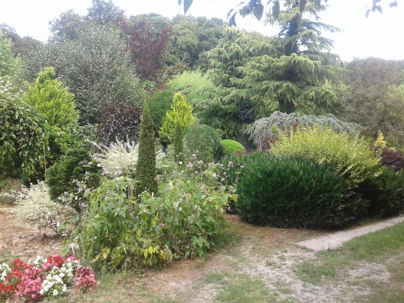 Domaine AbracadaRoom : Graine d'insolite - Image 5