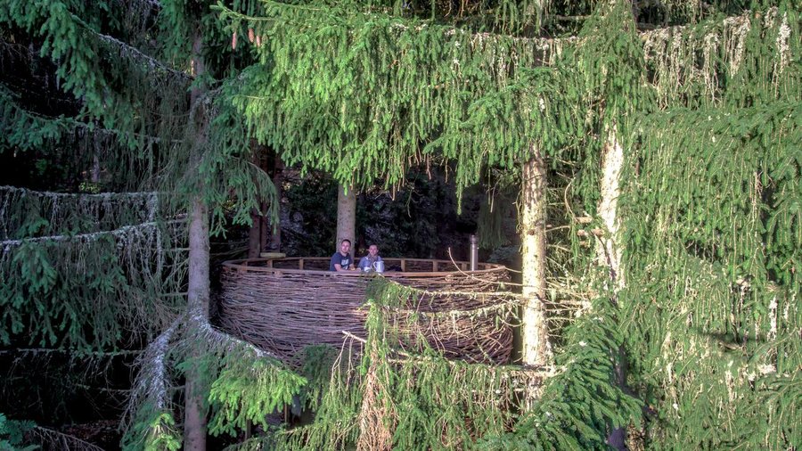 Hébergement AbracadaRoom : Cabane Nid - Image 2