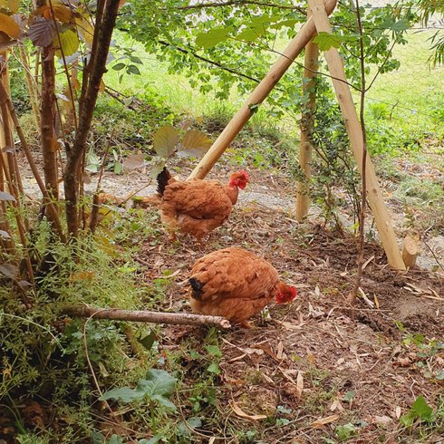 Domaine AbracadaRoom : Le Domaine de la Brette - Image 6