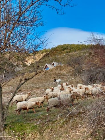 Hébergement AbracadaRoom : Le Dôme de Jèpo - Image 17