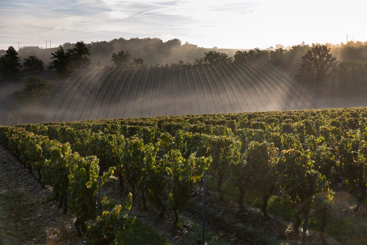 Hébergement AbracadaRoom : Parcel Tiny House - dans les vignes de la Vallée du Lot - Image 19