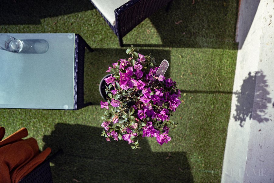 Hébergement AbracadaRoom : Péniche C'est La Vie - Image 8