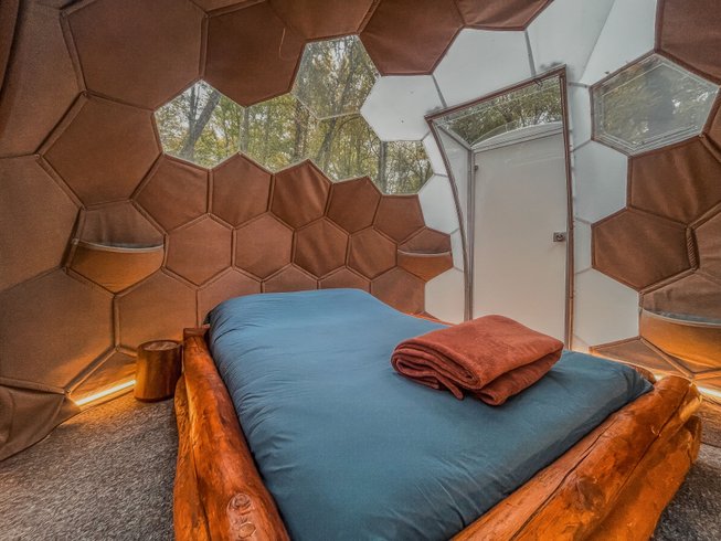 Hébergement AbracadaRoom : Bulle  au coeur des bois- Royaume des Textures - Image 4