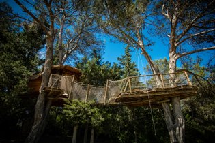 Domaine St-Jean de l'Arbousier