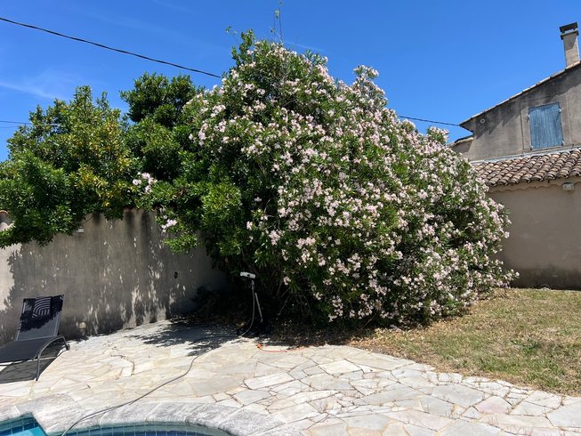 Domaine AbracadaRoom : MAS DES AMANDIERS, séjour en Provence - Image 18