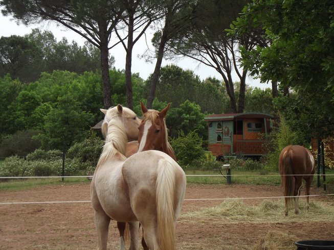 Domaine AbracadaRoom : Les Ecuries du Soleil - Image 1