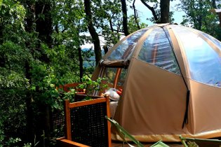 Le Domaine Insolite à Marie