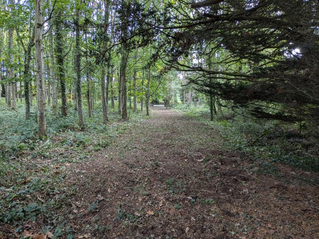 Domaine AbracadaRoom : Datcha en Brocéliande - Image 5