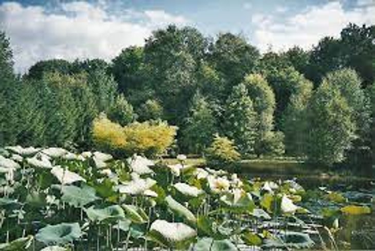 Domaine AbracadaRoom : Le relais des sorciers - Image 28