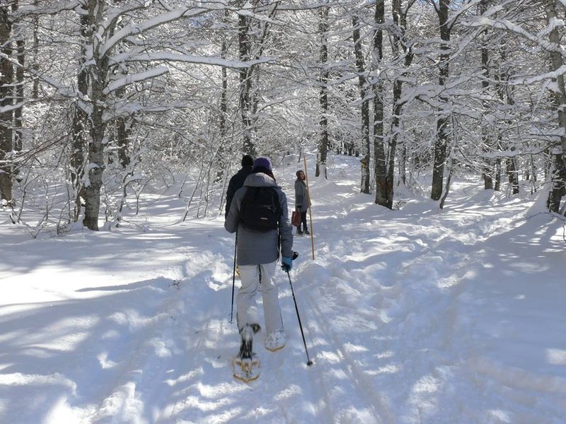 Domaine AbracadaRoom : Le Sivarol - Image 17