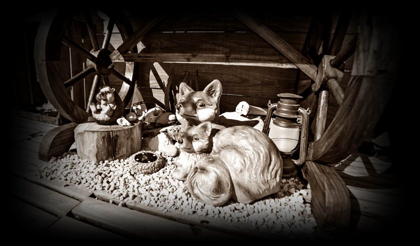 Hébergement AbracadaRoom : Bulle Texas – Luxe  & SPA – Vue Lac Aiguebelette - Image 29