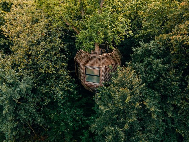 Domaine AbracadaRoom : Cabanes des Grands Chênes - Image 1