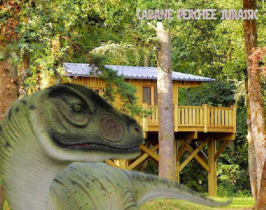 Cabane Perchée Jurassic à Lavaurette (2)
