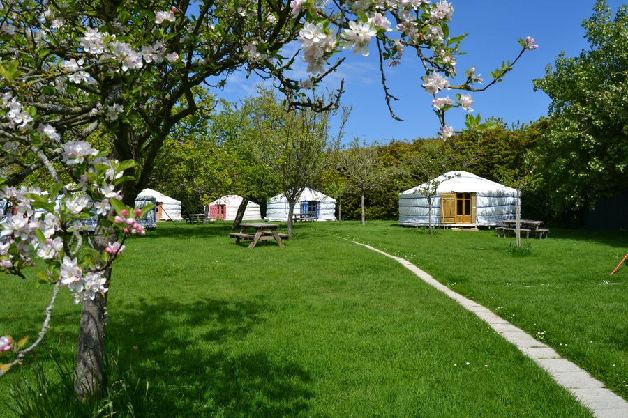 Domaine AbracadaRoom : Rando-Yourte - Image 2