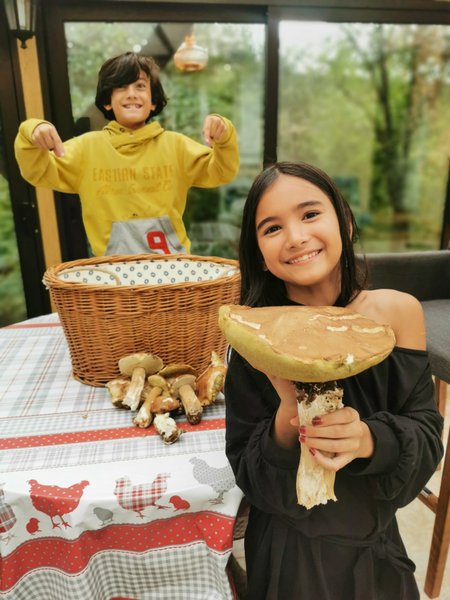 Hébergement AbracadaRoom : Gîte dans les bois, au coeur du Périgord noir avec étang privé - Image 16
