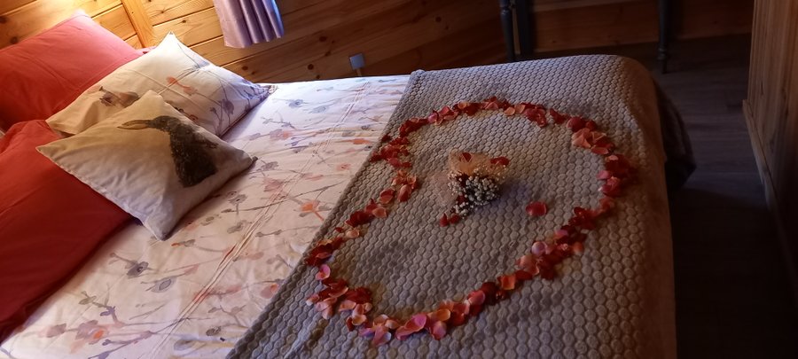 Hébergement AbracadaRoom : Gîte les Lapinous Kota & Spa & Sauna privatifs - Image 9