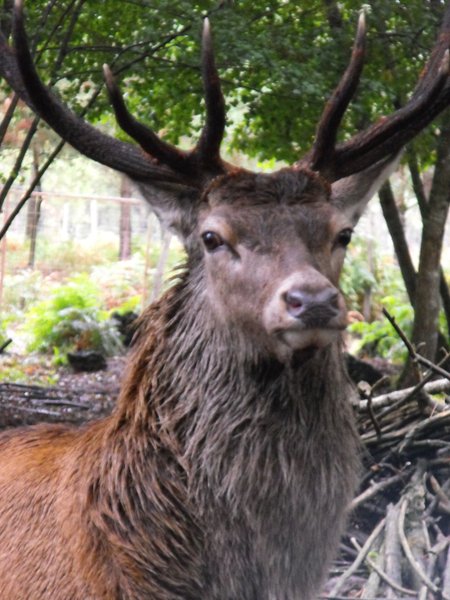 Domaine AbracadaRoom : La Ferme de l'Argenté - Image 5