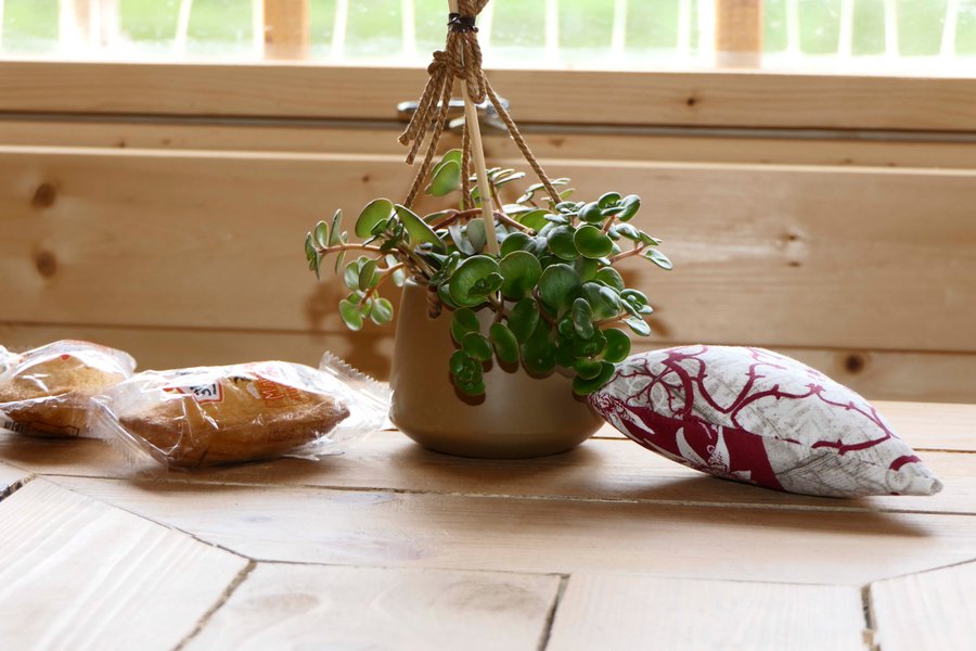 Hébergement AbracadaRoom : Le cerf - Image 16