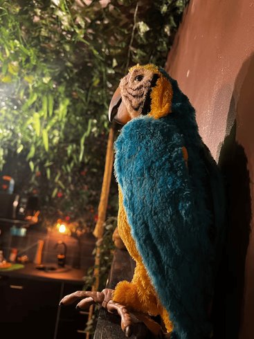 Hébergement AbracadaRoom : La Tanière de Mowgli - Plage du môle - Jungle Room - Image 11