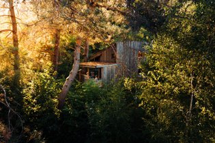 Cabane dans les arbres Vosges