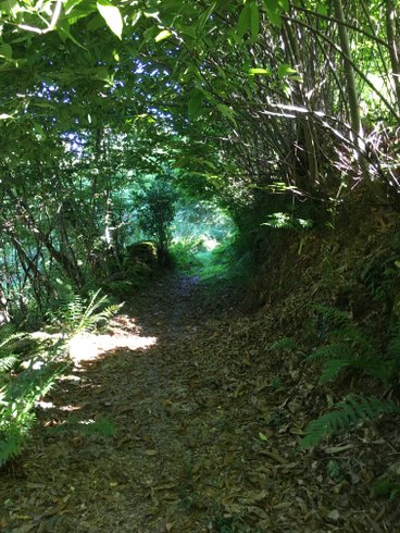 Hébergement AbracadaRoom : Yourte Enchantée au coeur de la Nature - Image 15