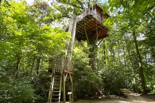 Cabane dans les arbres Oise