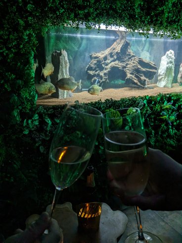 Hébergement AbracadaRoom : Nuit insolite avec Spa, sauna et jardin privatifs immersion en AMAZONIE - Image 13