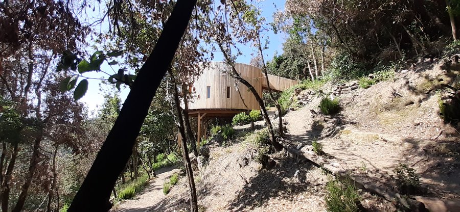 Hébergement AbracadaRoom : Cabane l'Albitru - Image 6