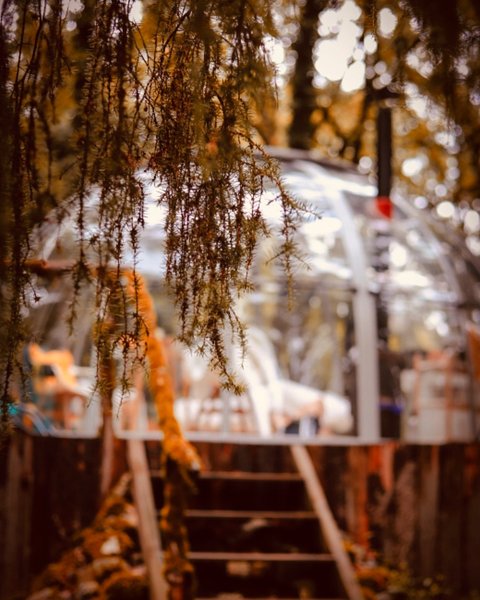 Hébergement AbracadaRoom : Dôm'Exotic & son bain nordique - Image 9