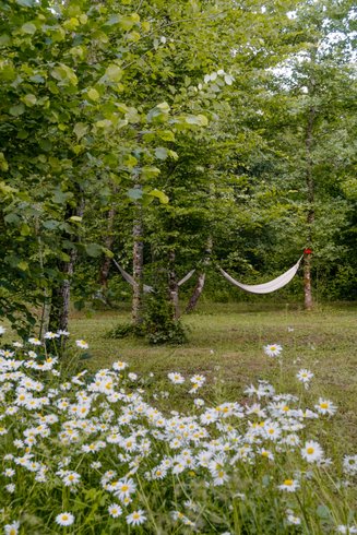 Hébergement AbracadaRoom : « Morvand'Ailes » - Cocon vitré immersif en Morvan - Image 33