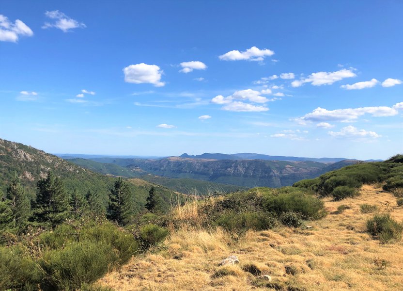 Domaine AbracadaRoom : Cosy Nature - Image 7