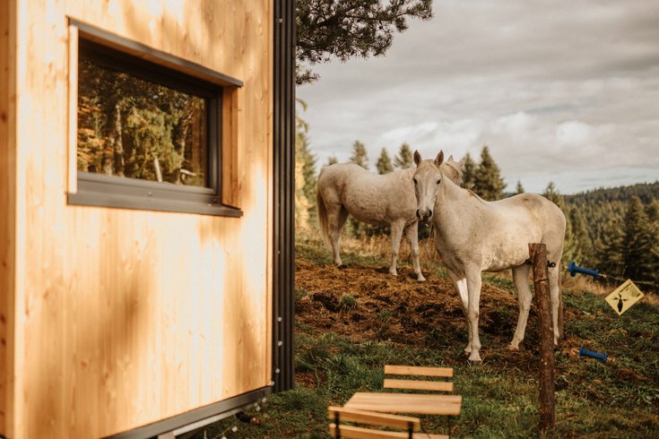 Hébergement AbracadaRoom : Homnest - L'Instant Sauvage - Vue Cimes & Forêt - Image 43