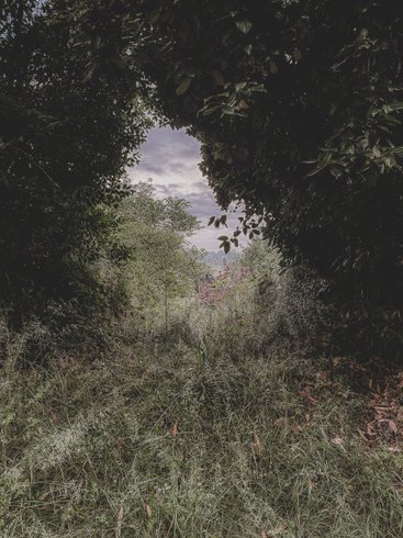 Domaine AbracadaRoom : Domaine Amaia - Image 62