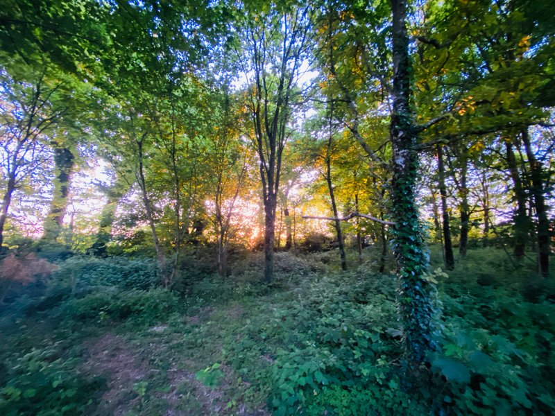 Hébergement AbracadaRoom : La Maison de Merlin, cabane magique avec SPA - Image 11