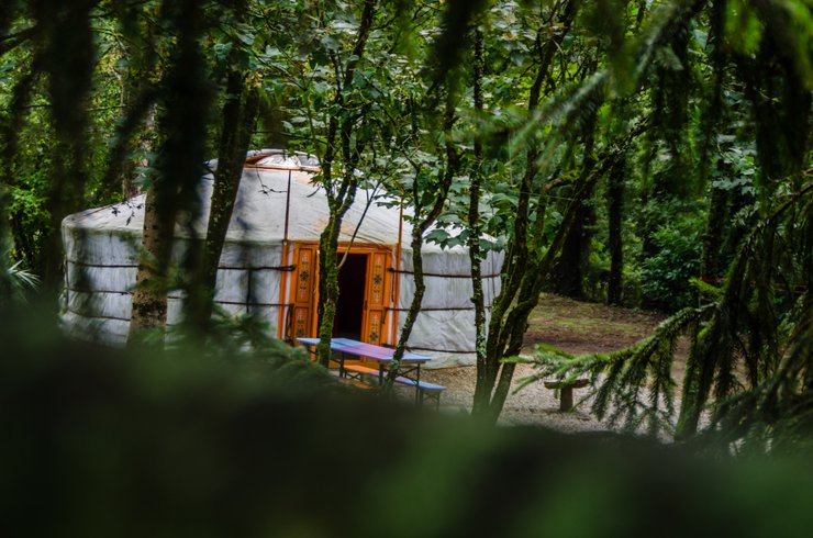 Domaine AbracadaRoom : Vendée yourte - Image 8