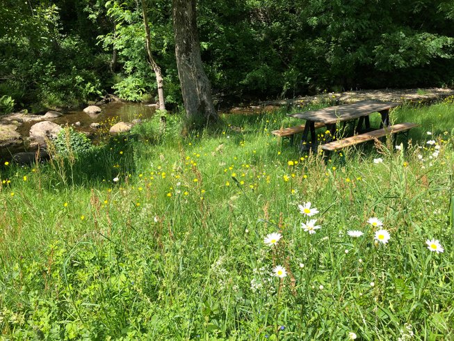 Hébergement AbracadaRoom : Le luxe champêtre d'un Géodôme en châtaignier - Image 5