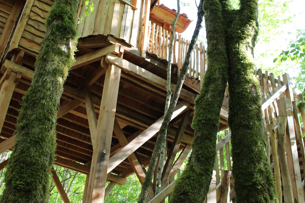Cabane féérique  Spa - Cigogne noire à Vernois Les Vesvres (7)