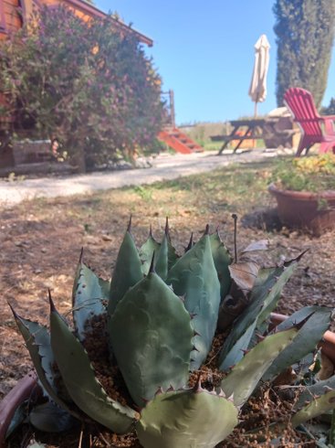 Hébergement AbracadaRoom : La Roulotte Spa bohème - Image 13