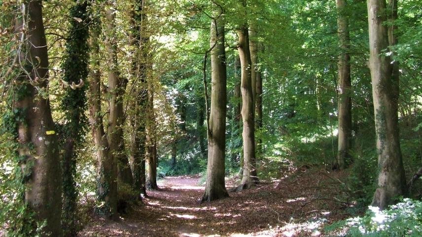 Domaine AbracadaRoom : Seasonova Camping Etennemare - Image 24