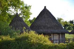 Natuurhuisje Vienne