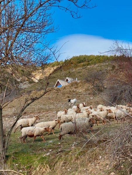 Hébergement AbracadaRoom : Le Dôme de Jèpo - Image 17