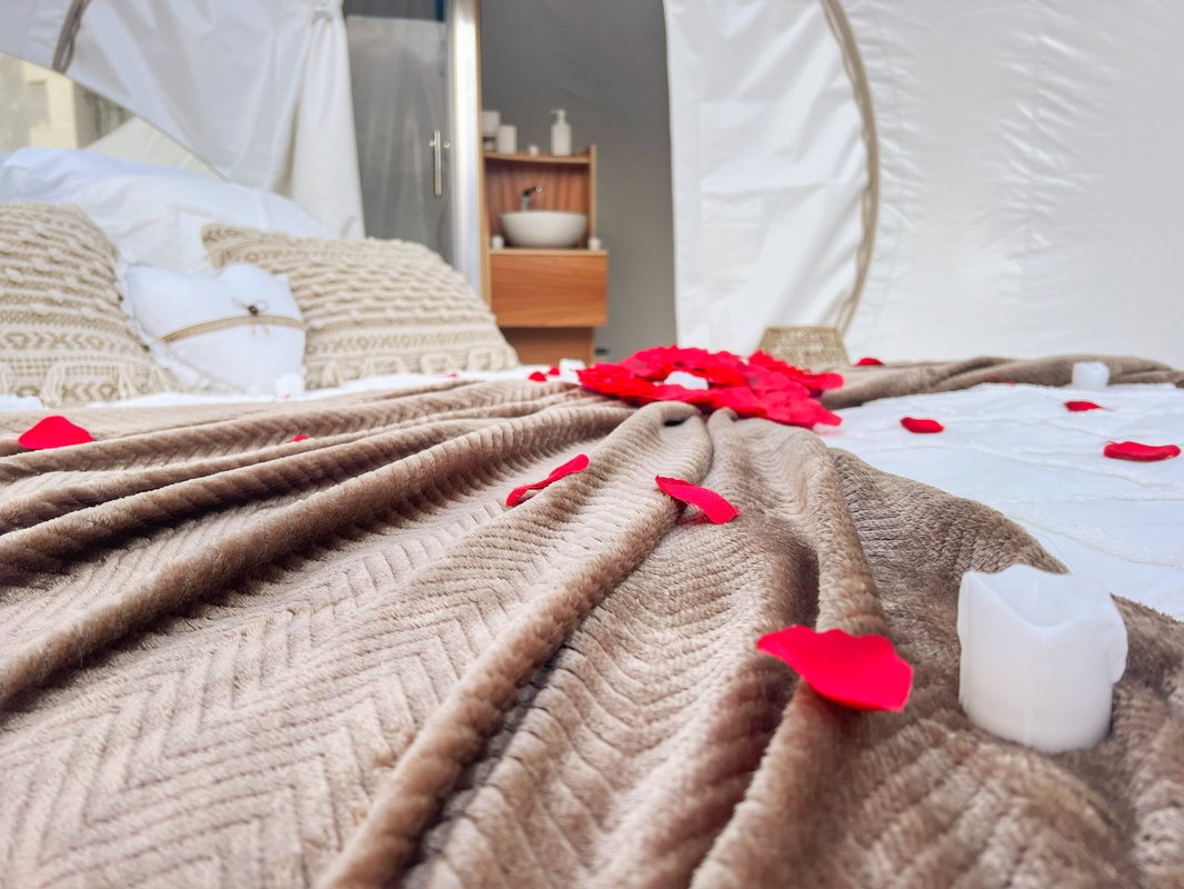 Bulle Love Home XO & Spa à Cherves-Richemont (3)