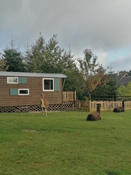 Domaine AbracadaRoom : Ecodomaine Rêver Ailleurs - Image 20