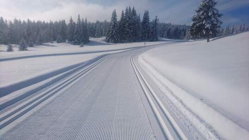 Hébergement AbracadaRoom : Les Logettes de Caroline, Ecolodge & Bain Nordique - Image 48