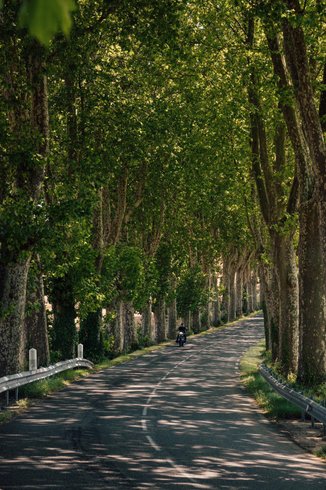 Domaine AbracadaRoom : Le Sanctuaire des sorciers - Image 4