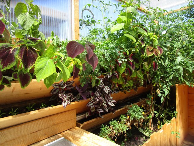 Hébergement AbracadaRoom : Serre des Brasseurs & Spa - Image 11