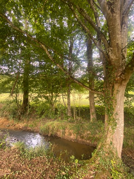 Hébergement AbracadaRoom : Tipi Lakota - Image 22