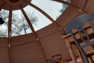 La Chouette étoilée