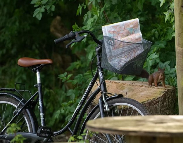 Hébergement AbracadaRoom : La cabane" l'atelier du peintre" - Image 9