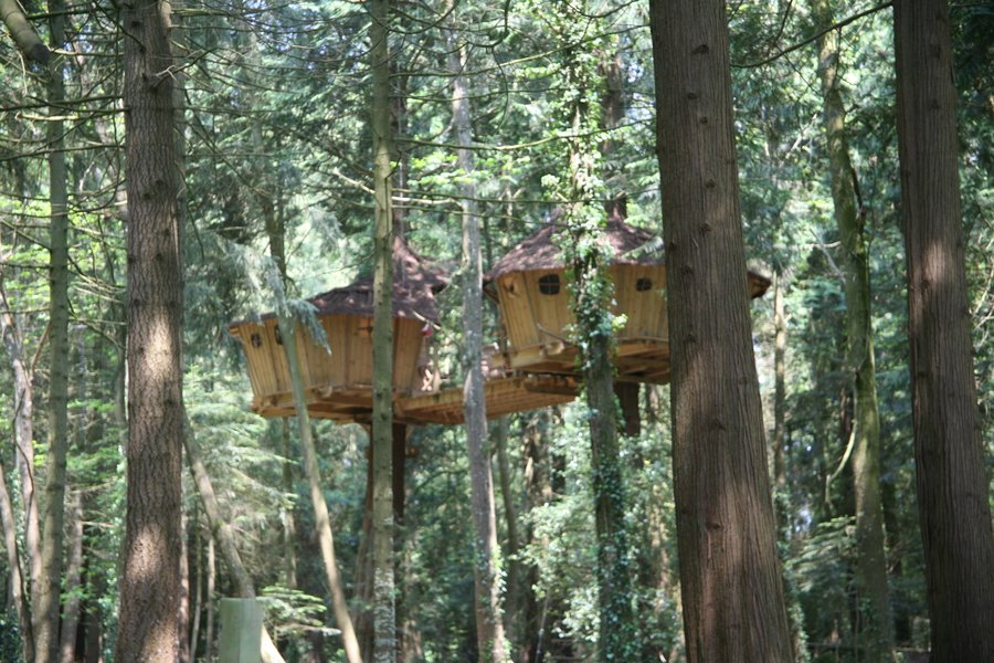 Hébergement AbracadaRoom : Cabane Familiale La Barbe - Image 4